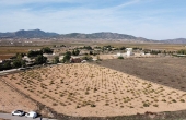 3-6869/1518, Land in Pinoso