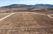 3-6961/1590, Land in Pinoso