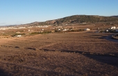 3-7481/2143, Land in Pinoso