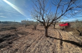 3-7577/2202, Land in Pinoso