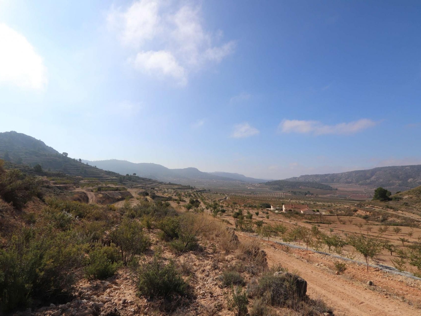 1 Bedroom 1 Bathroom Land in Pinoso