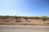 3-4267/2427, Land in Pinoso