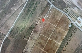 3-6335/2469, Land in Pinoso