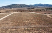 3-6961/2490, Land in Pinoso