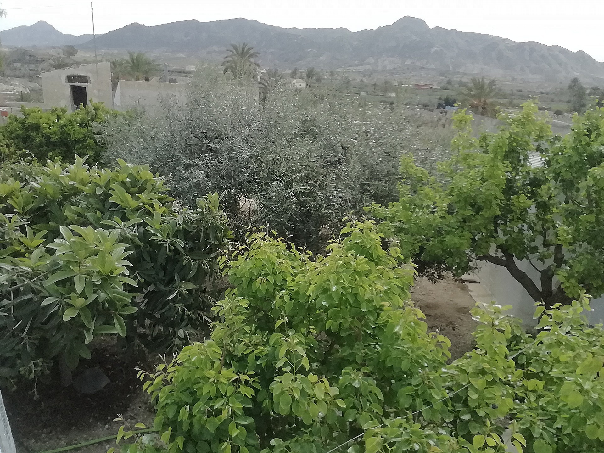 Resale - 4 Bedroom 1 Bathroom Villa in Abanilla - - Murcia Resale - 4 Bedroom 1 Bathroom Villa in Abanilla - - Murcia