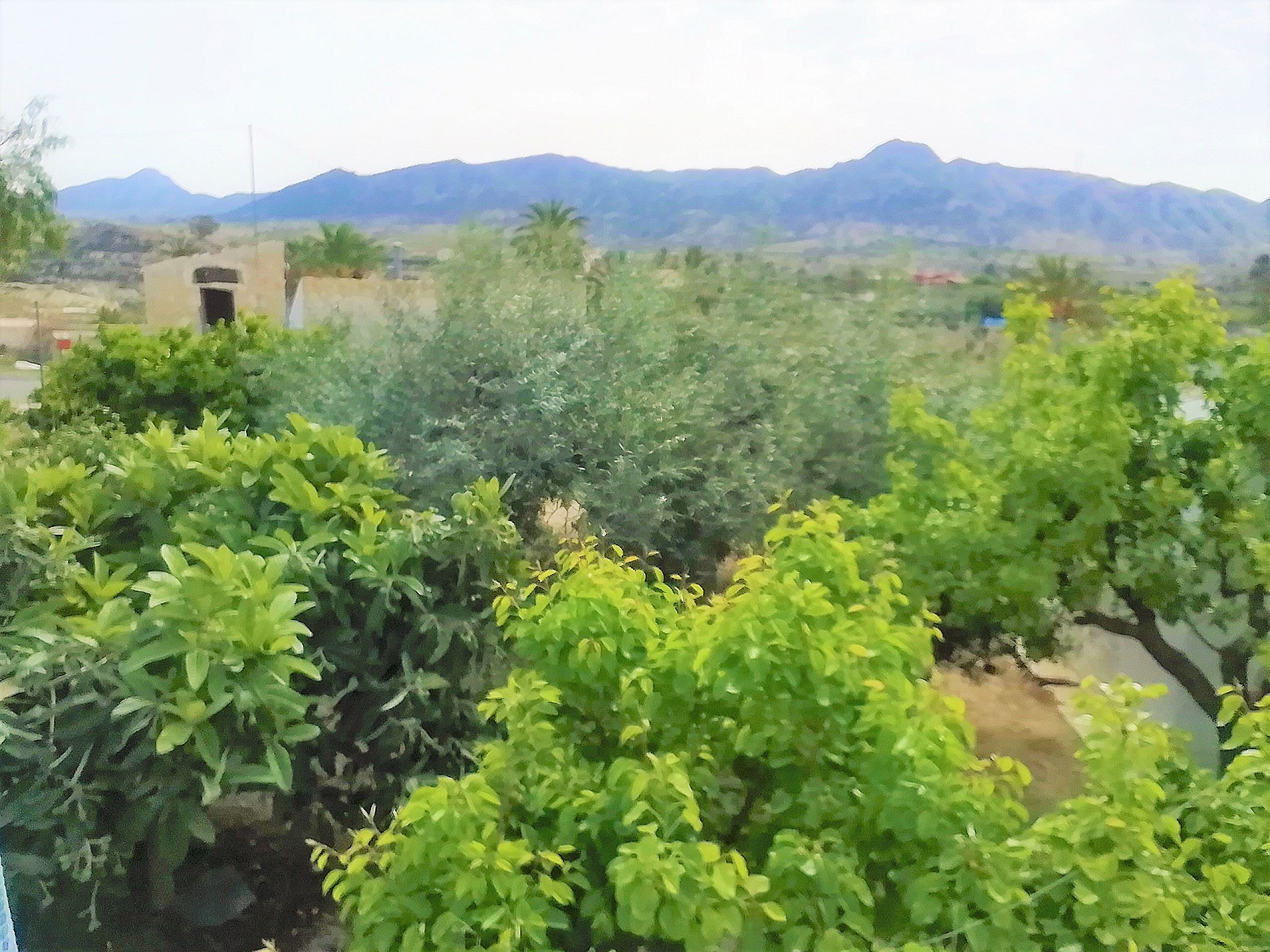 Resale - 4 Bedroom 1 Bathroom Villa in Abanilla - - Murcia Resale - 4 Bedroom 1 Bathroom Villa in Abanilla - - Murcia