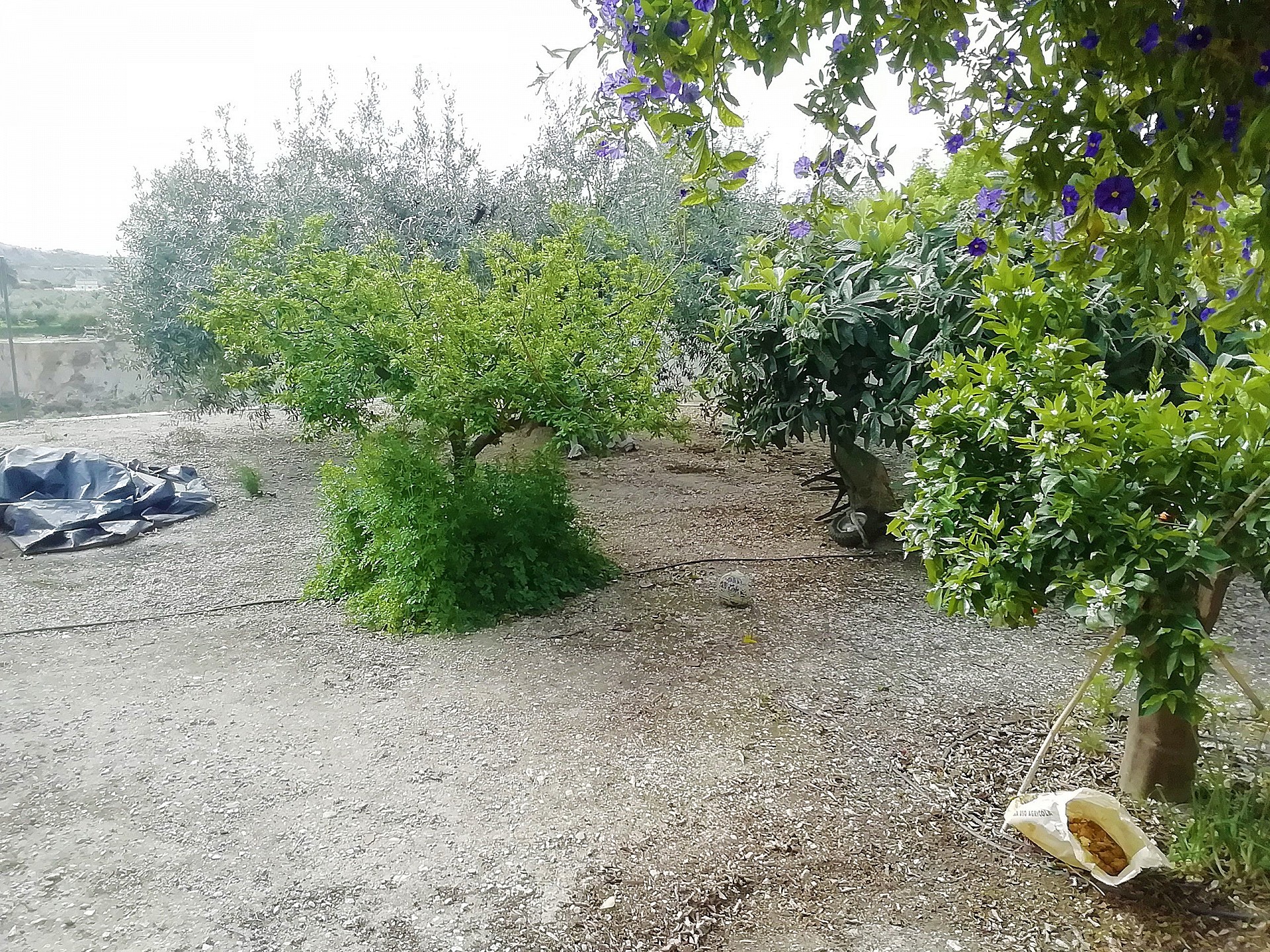 Resale - 4 Bedroom 1 Bathroom Villa in Abanilla - - Murcia Resale - 4 Bedroom 1 Bathroom Villa in Abanilla - - Murcia