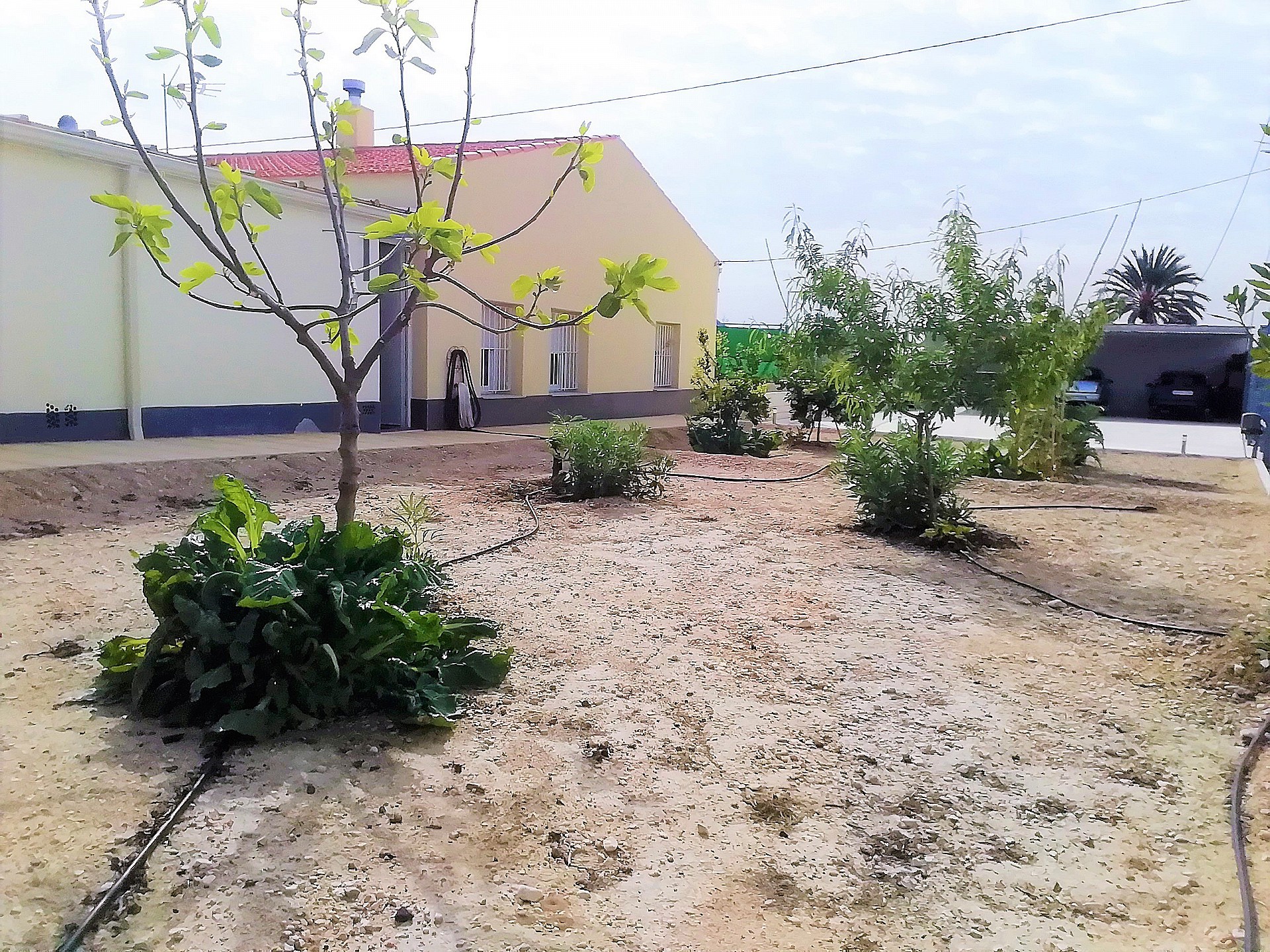 Resale - 4 Bedroom 1 Bathroom Villa in Abanilla - - Murcia Resale - 4 Bedroom 1 Bathroom Villa in Abanilla - - Murcia
