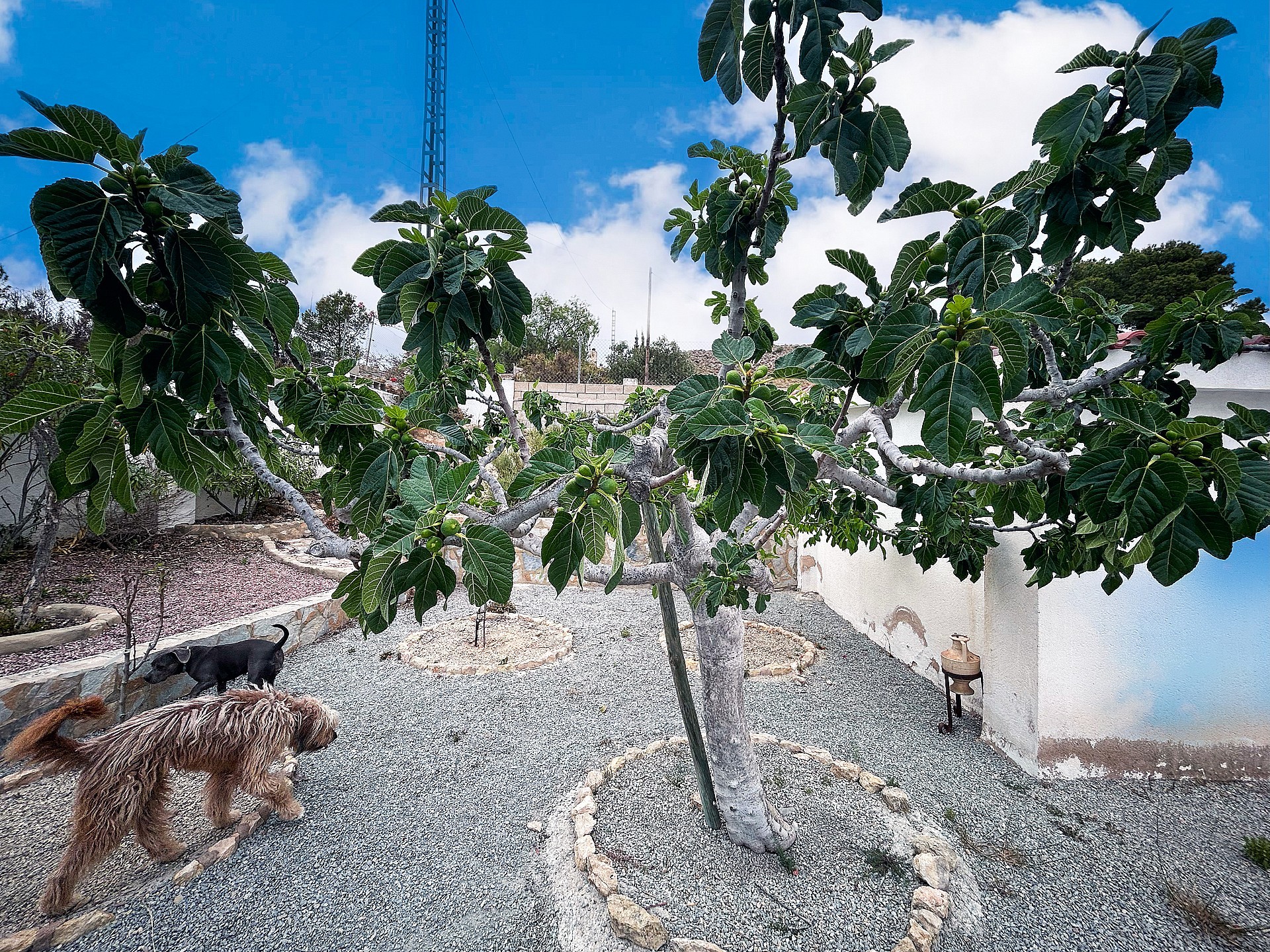 Resale - 4 Bedroom 2 Bathroom Villa in Agost - - Alicante Resale - 4 Bedroom 2 Bathroom Villa in Agost - - Alicante