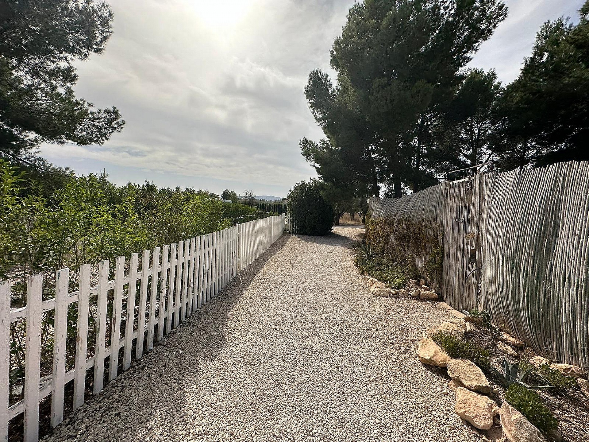 Resale - 3 Bedroom 1 Bathroom Commercial in Pinoso - - Alicante Resale - 3 Bedroom 1 Bathroom Commercial in Pinoso - - Alicante