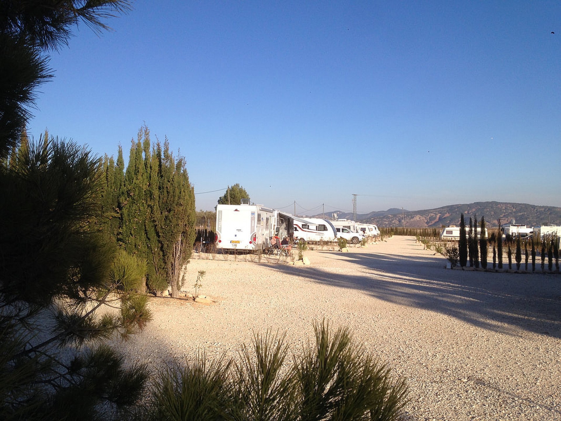 Resale - 3 Bedroom 1 Bathroom Commercial in Pinoso - - Alicante Resale - 3 Bedroom 1 Bathroom Commercial in Pinoso - - Alicante