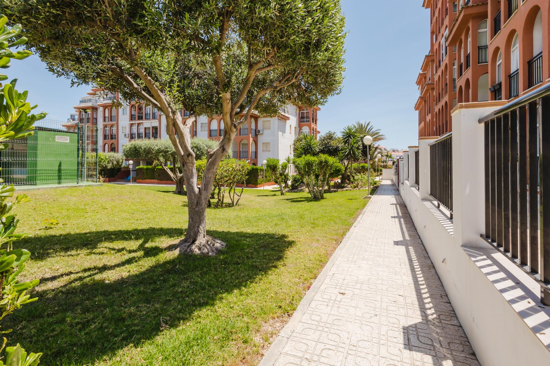 Sold - 1 Bedroom 1 Bathroom Apartamento in Torrevieja - PLAYA DE LA MATA - Alicante Sold - 1 Bedroom 1 Bathroom Apartamento in Torrevieja - PLAYA DE LA MATA - Alicante