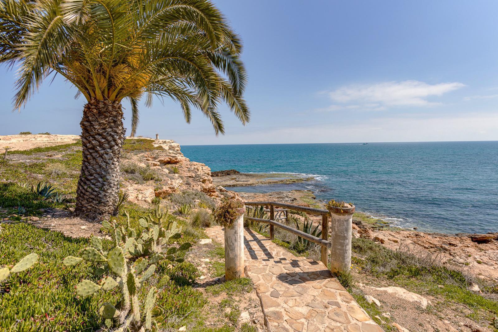 Sold - 1 Bedroom 1 Bathroom Apartamento in Torrevieja - PLAYA DE LA MATA - Alicante Sold - 1 Bedroom 1 Bathroom Apartamento in Torrevieja - PLAYA DE LA MATA - Alicante