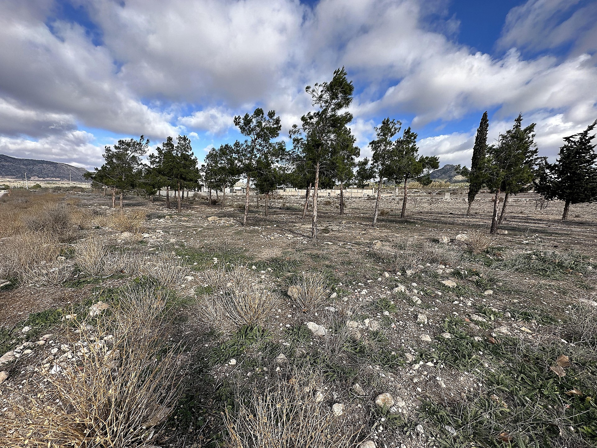 Resale - Land in Salinas - - Alicante Resale - Land in Salinas - - Alicante