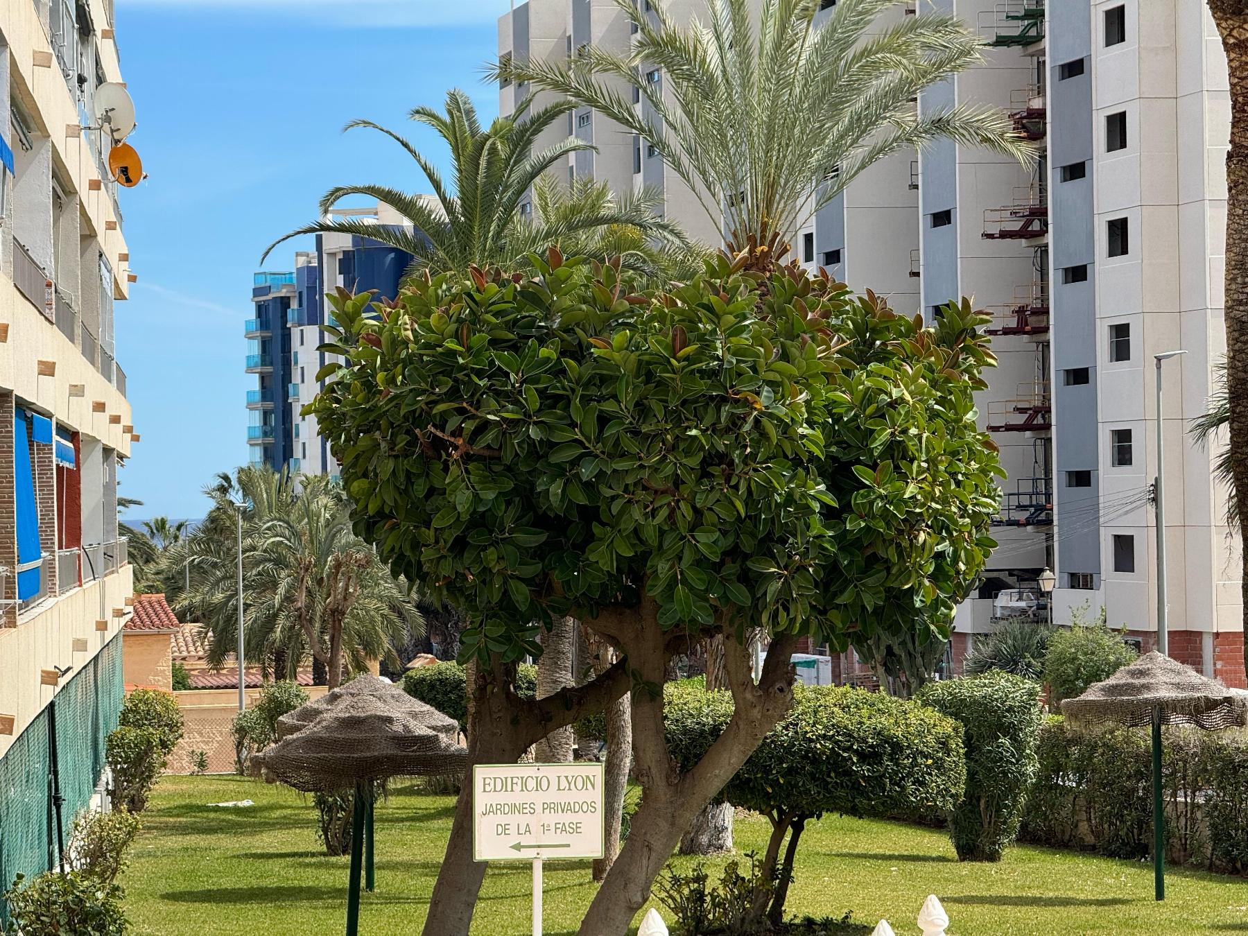 Resale - 1 Bedroom 1 Bathroom Apartamento in Torrevieja - Punta Prima - Alicante Resale - 1 Bedroom 1 Bathroom Apartamento in Torrevieja - Punta Prima - Alicante