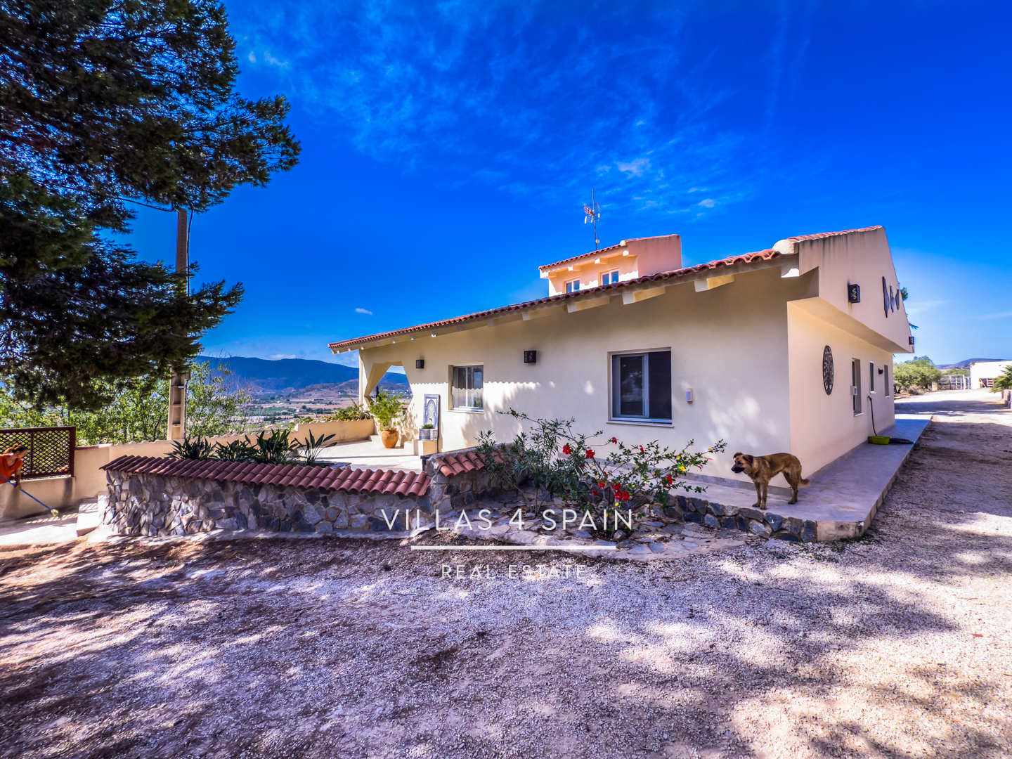 Resale - 3 Bed 2 Bath Villa with Equestrian facilities in Hondon de las Nieves Alicante - solana 6 - Alicante Resale - 3 Bed 2 Bath Villa with Equestrian facilities in Hondon de las Nieves Alicante - solana 6 - Alicante