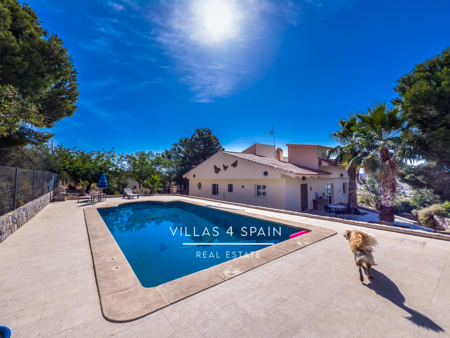 Resale - 3 Bed 2 Bath Villa with Equestrian facilities in Hondon de las Nieves Alicante - solana 6 - Alicante Resale - 3 Bed 2 Bath Villa with Equestrian facilities in Hondon de las Nieves Alicante - solana 6 - Alicante