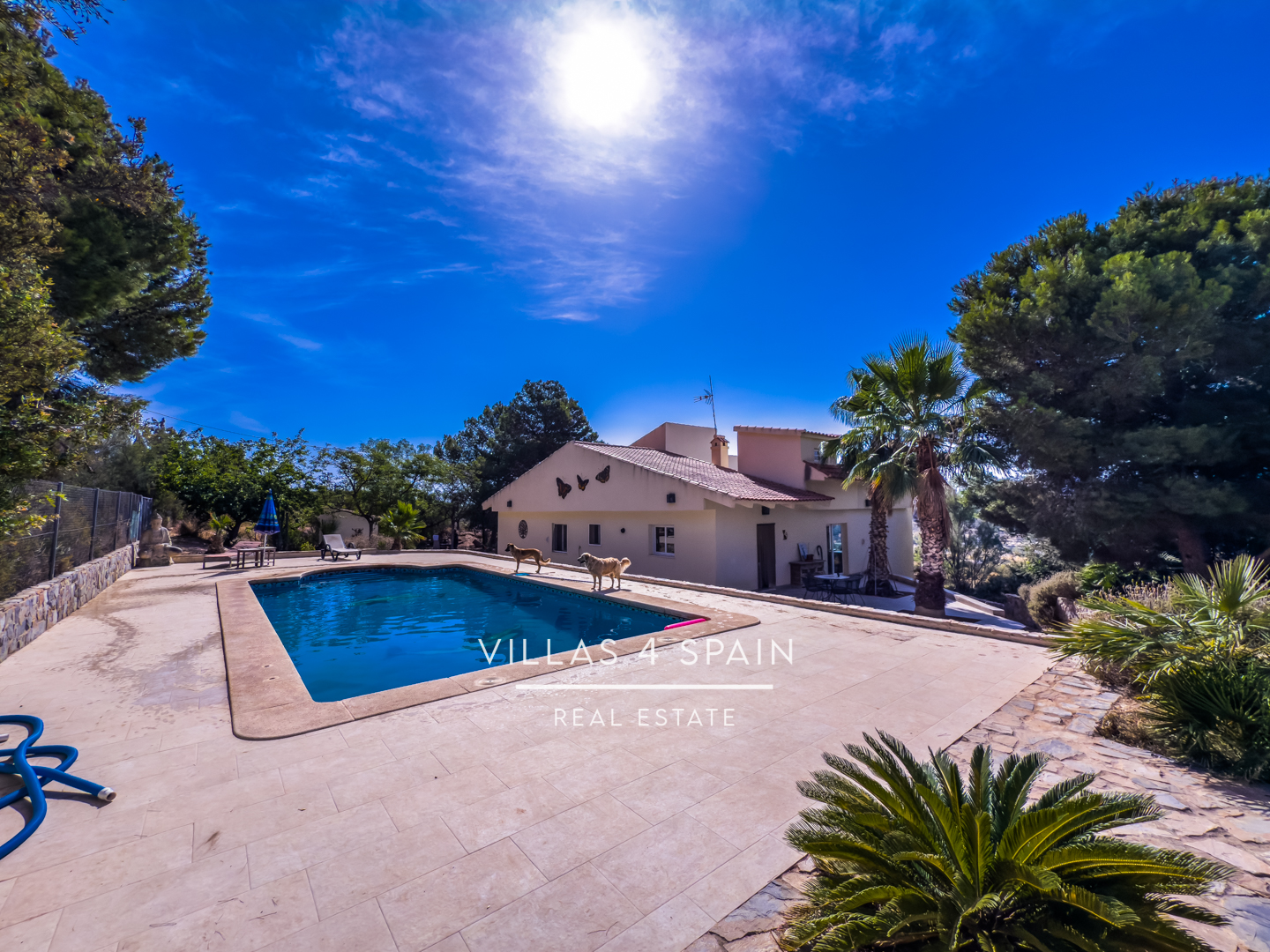 Resale - 3 Bed 2 Bath Villa with Equestrian facilities in Hondon de las Nieves Alicante - solana 6 - Alicante Resale - 3 Bed 2 Bath Villa with Equestrian facilities in Hondon de las Nieves Alicante - solana 6 - Alicante