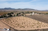 3-6869/2969, Land in Pinoso
