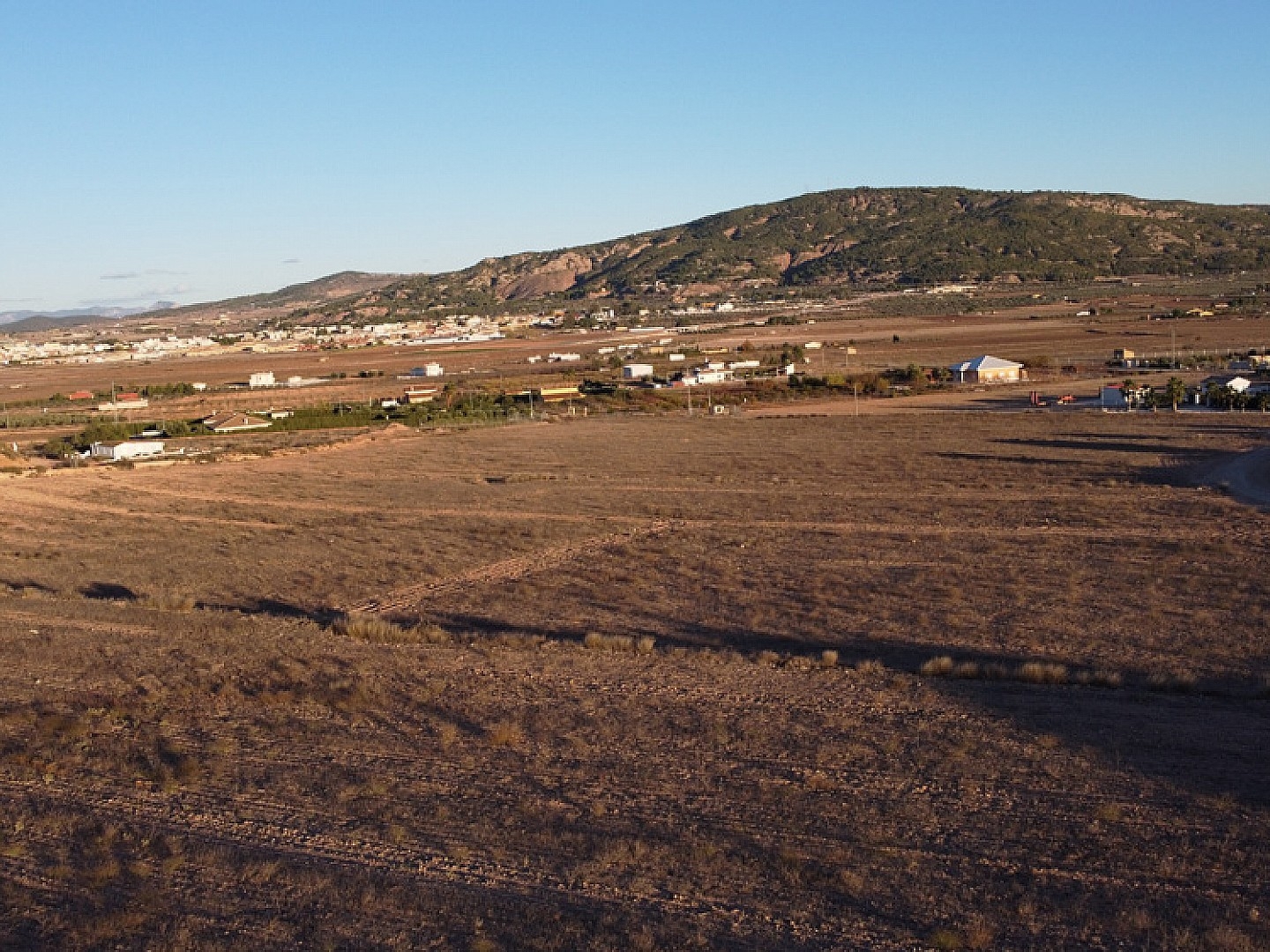 Land in Pinoso