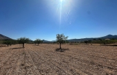 3-8011/2982, Land in Macisvenda
