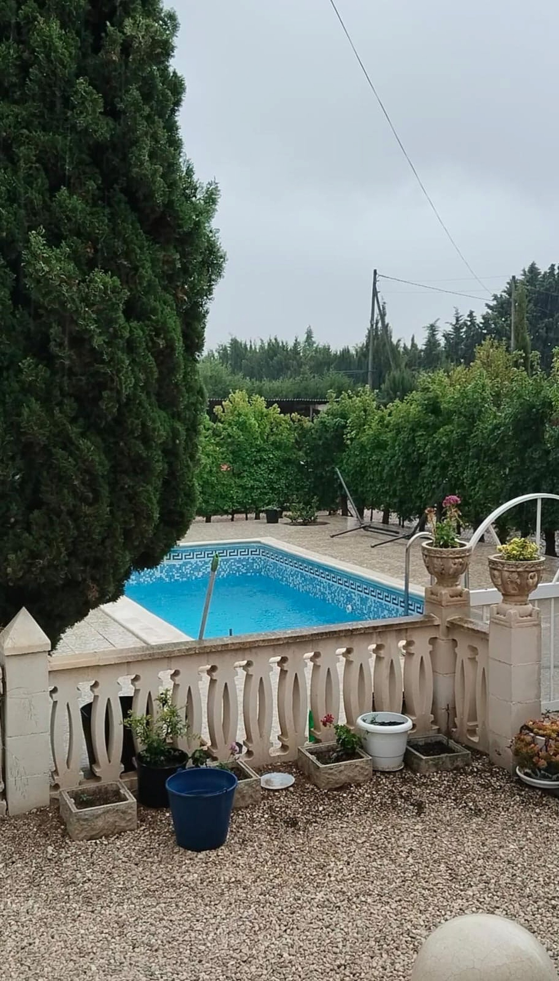 Resale - 4 Bedroom 2 Bathroom Country house in Sax - - Alicante Resale - 4 Bedroom 2 Bathroom Country house in Sax - - Alicante