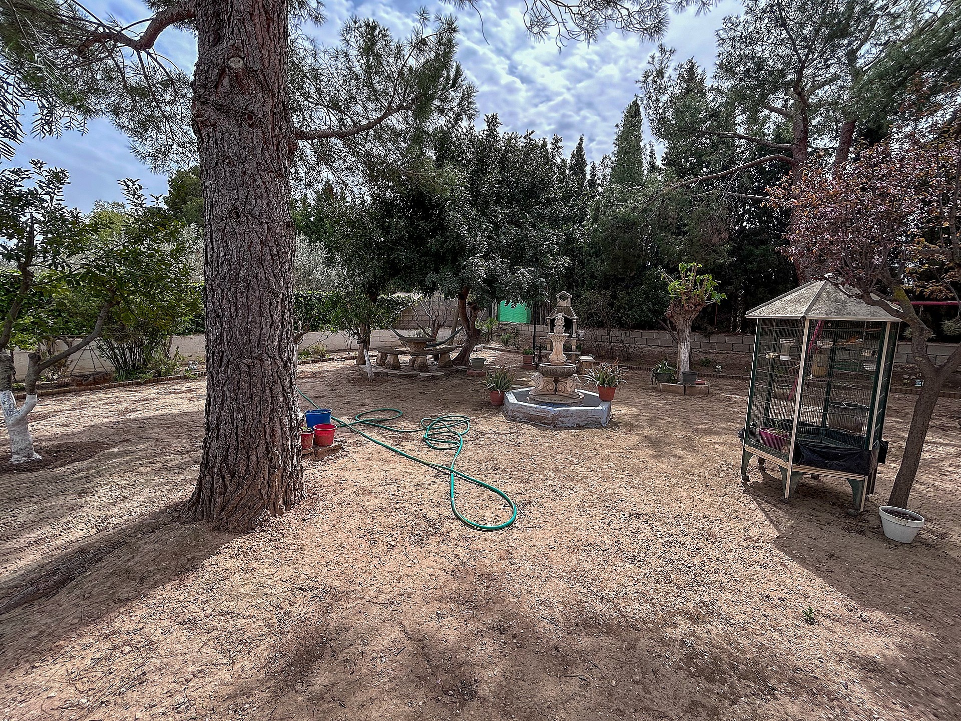 Resale - 4 Bedroom 2 Bathroom Country house in Sax - - Alicante Resale - 4 Bedroom 2 Bathroom Country house in Sax - - Alicante