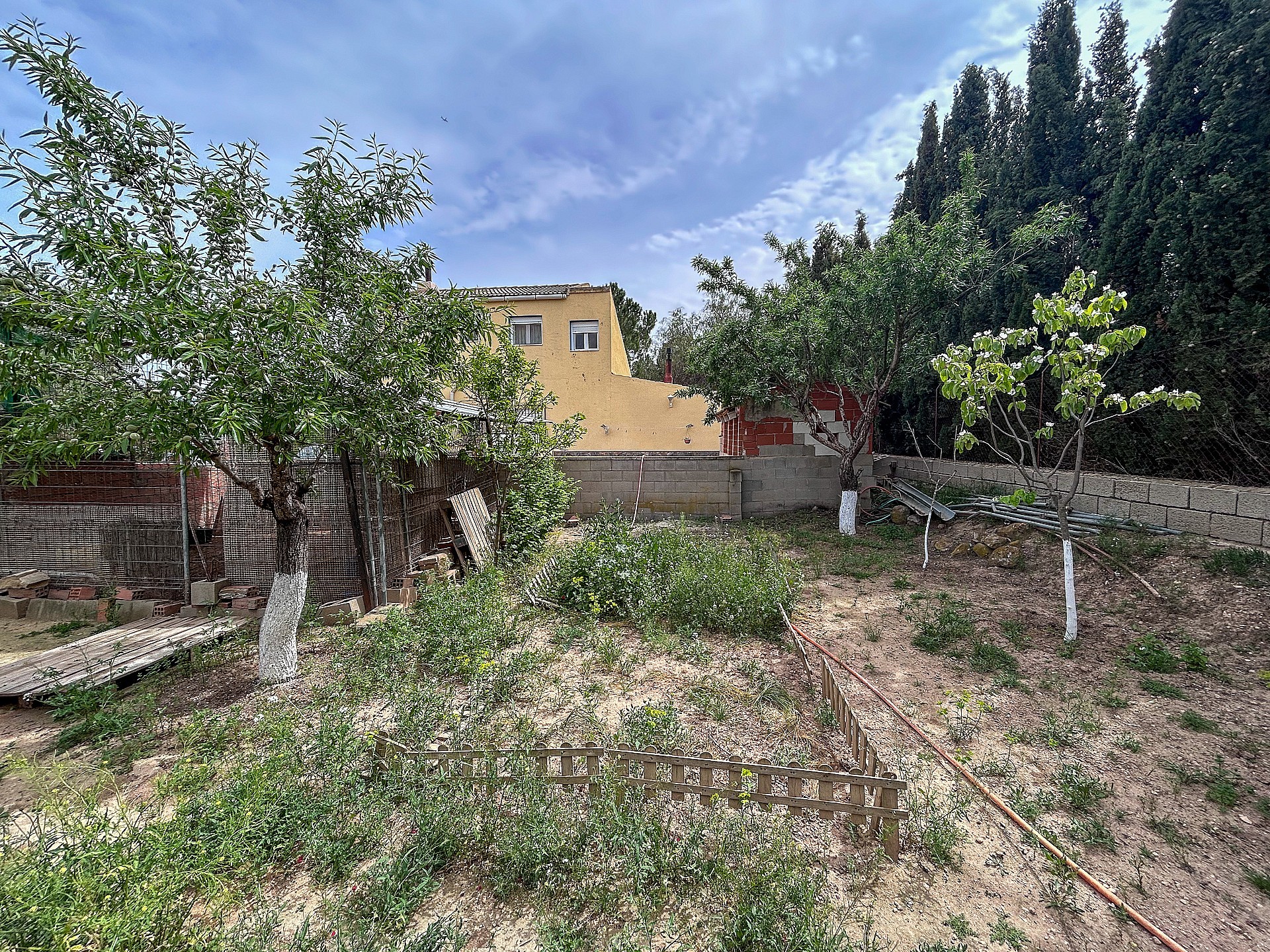 Resale - 4 Bedroom 2 Bathroom Country house in Sax - - Alicante Resale - 4 Bedroom 2 Bathroom Country house in Sax - - Alicante