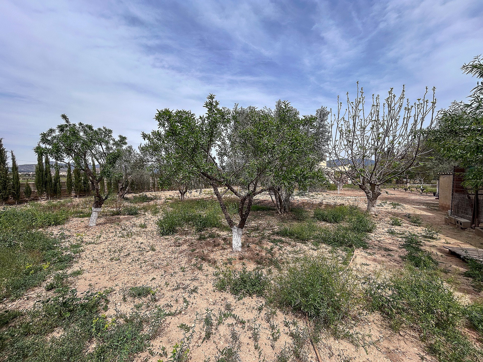 Resale - 4 Bedroom 2 Bathroom Country house in Sax - - Alicante Resale - 4 Bedroom 2 Bathroom Country house in Sax - - Alicante