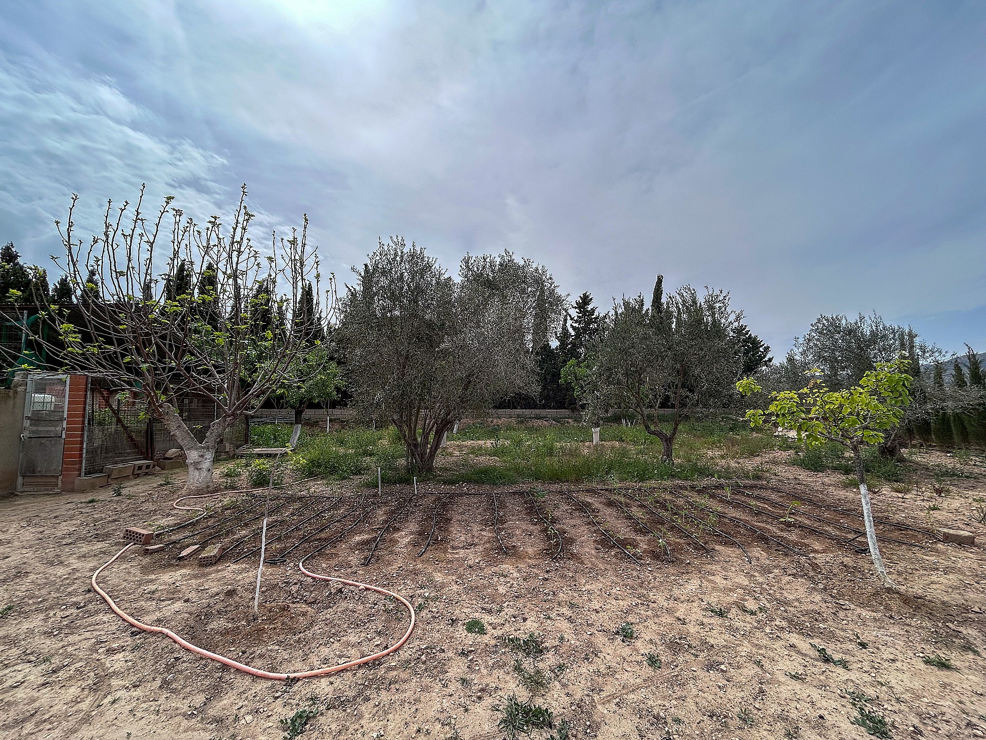 Resale - 4 Bedroom 2 Bathroom Country house in Sax - - Alicante Resale - 4 Bedroom 2 Bathroom Country house in Sax - - Alicante