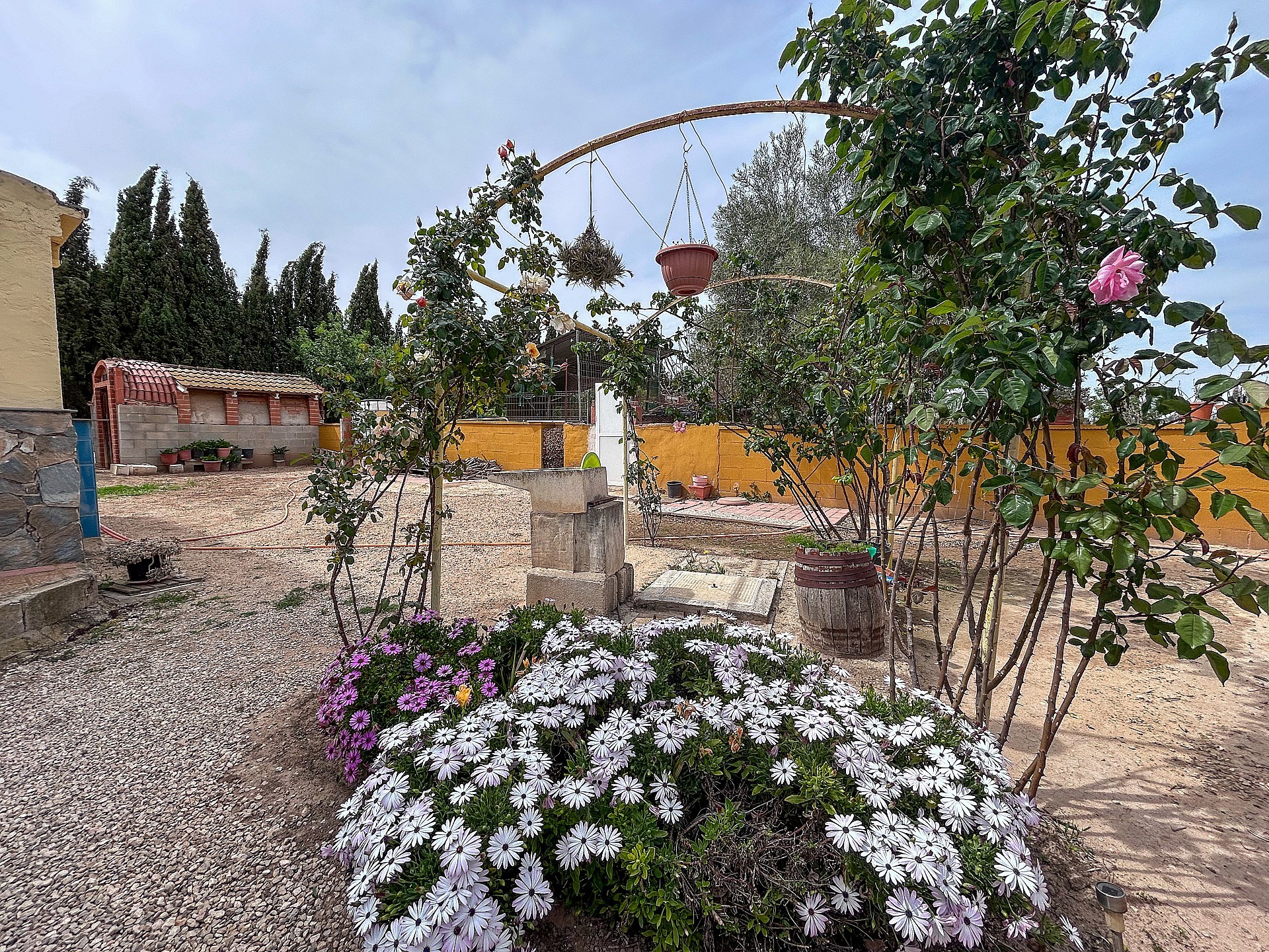 Resale - 4 Bedroom 2 Bathroom Country house in Sax - - Alicante Resale - 4 Bedroom 2 Bathroom Country house in Sax - - Alicante
