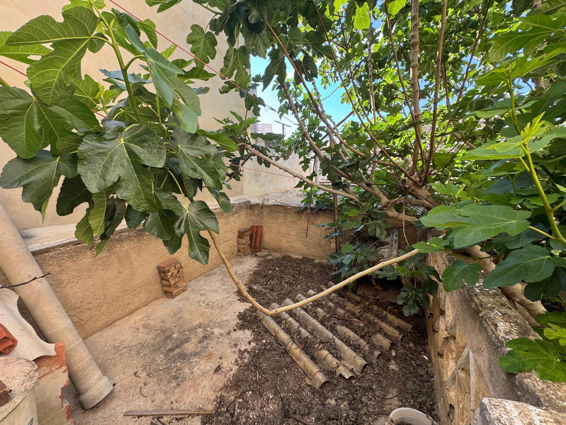 Resale - 3 Bedroom 1 Bathroom Casa in Benejúzar - Benejúzar - Alicante Resale - 3 Bedroom 1 Bathroom Casa in Benejúzar - Benejúzar - Alicante