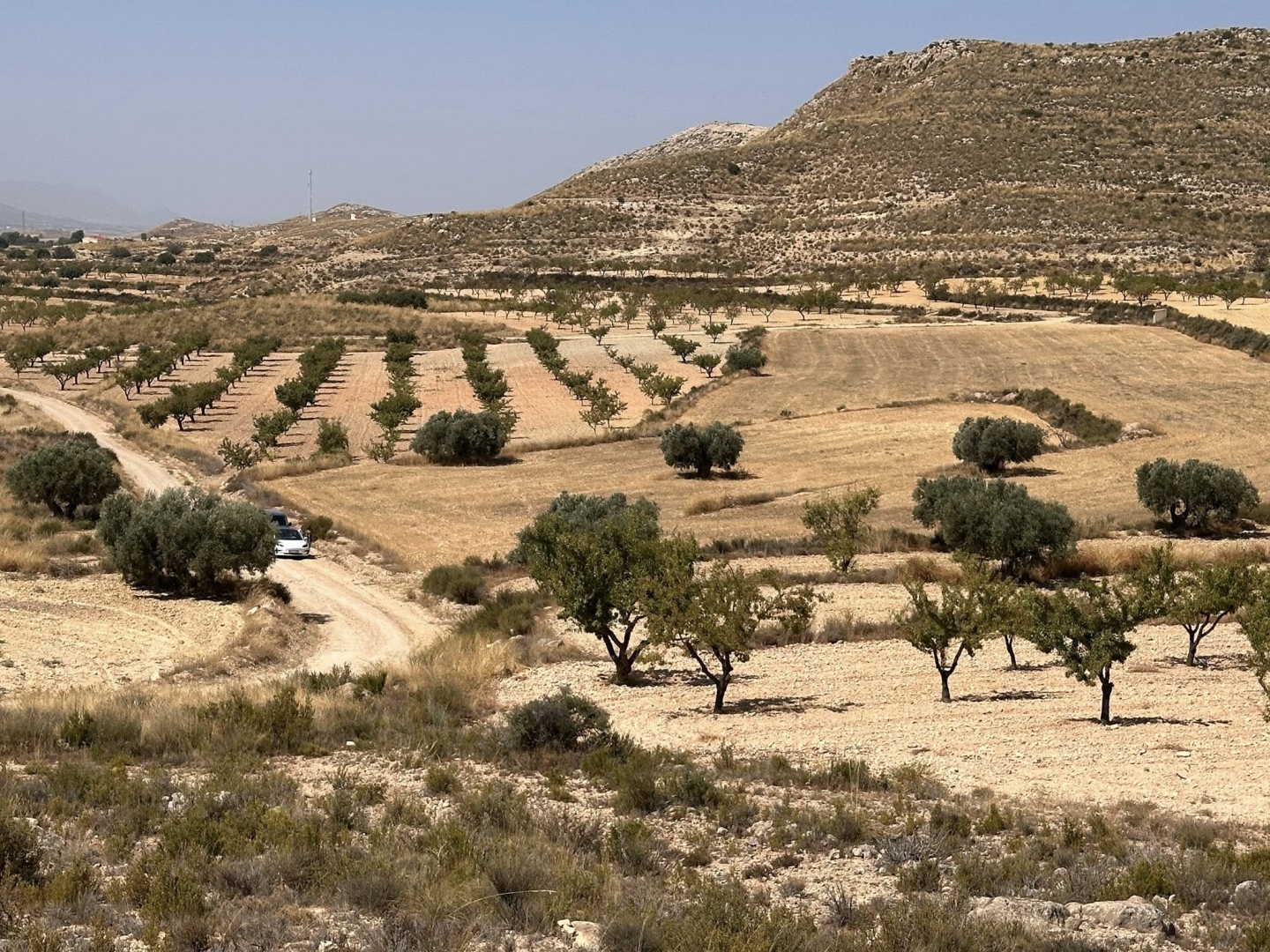 14.671m2 Buildable Land for Sale in Torre del Rico 