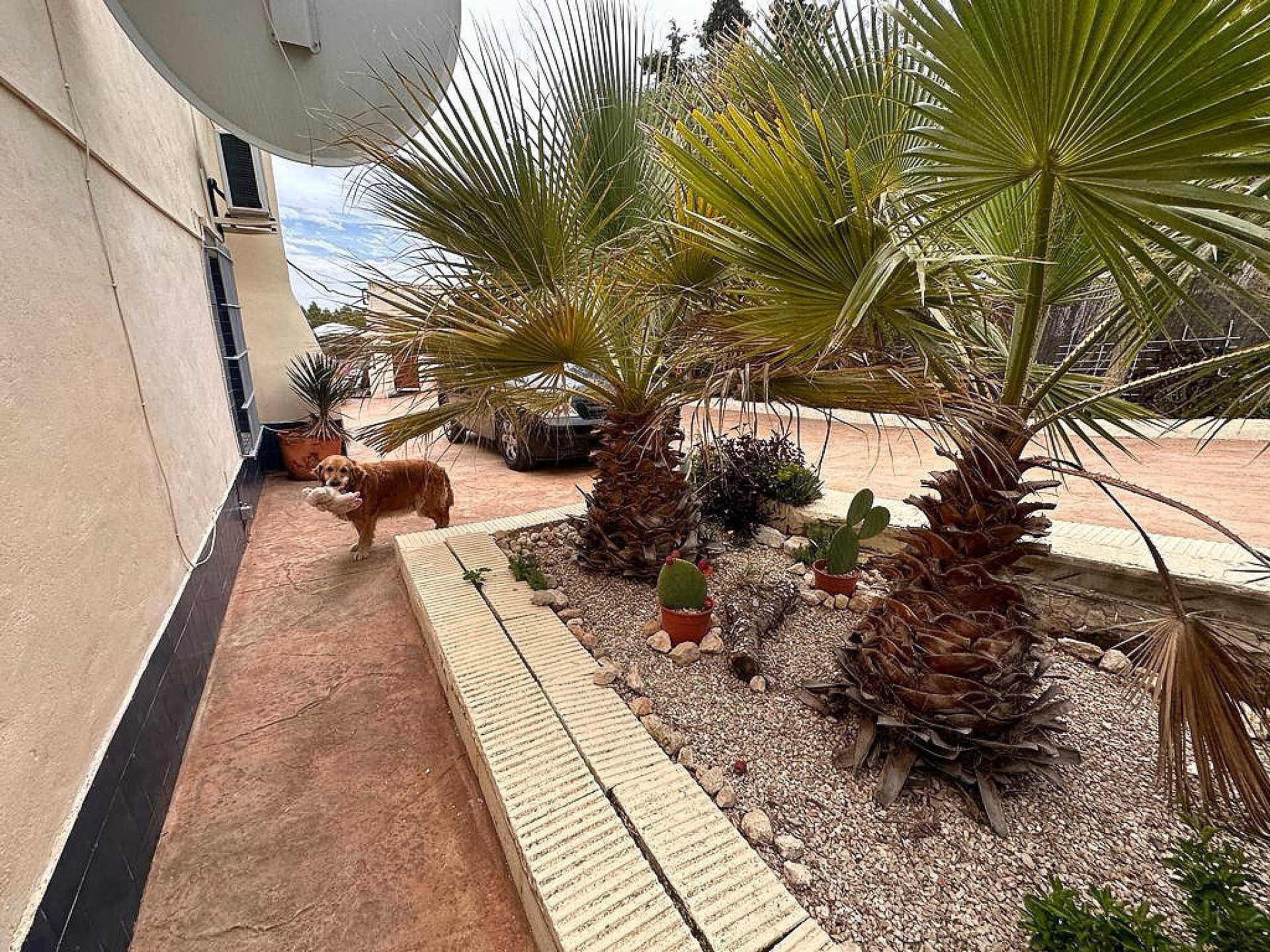 Resale - 5 Bedroom 2 Bathroom Villa in Sax - - Alicante Resale - 5 Bedroom 2 Bathroom Villa in Sax - - Alicante