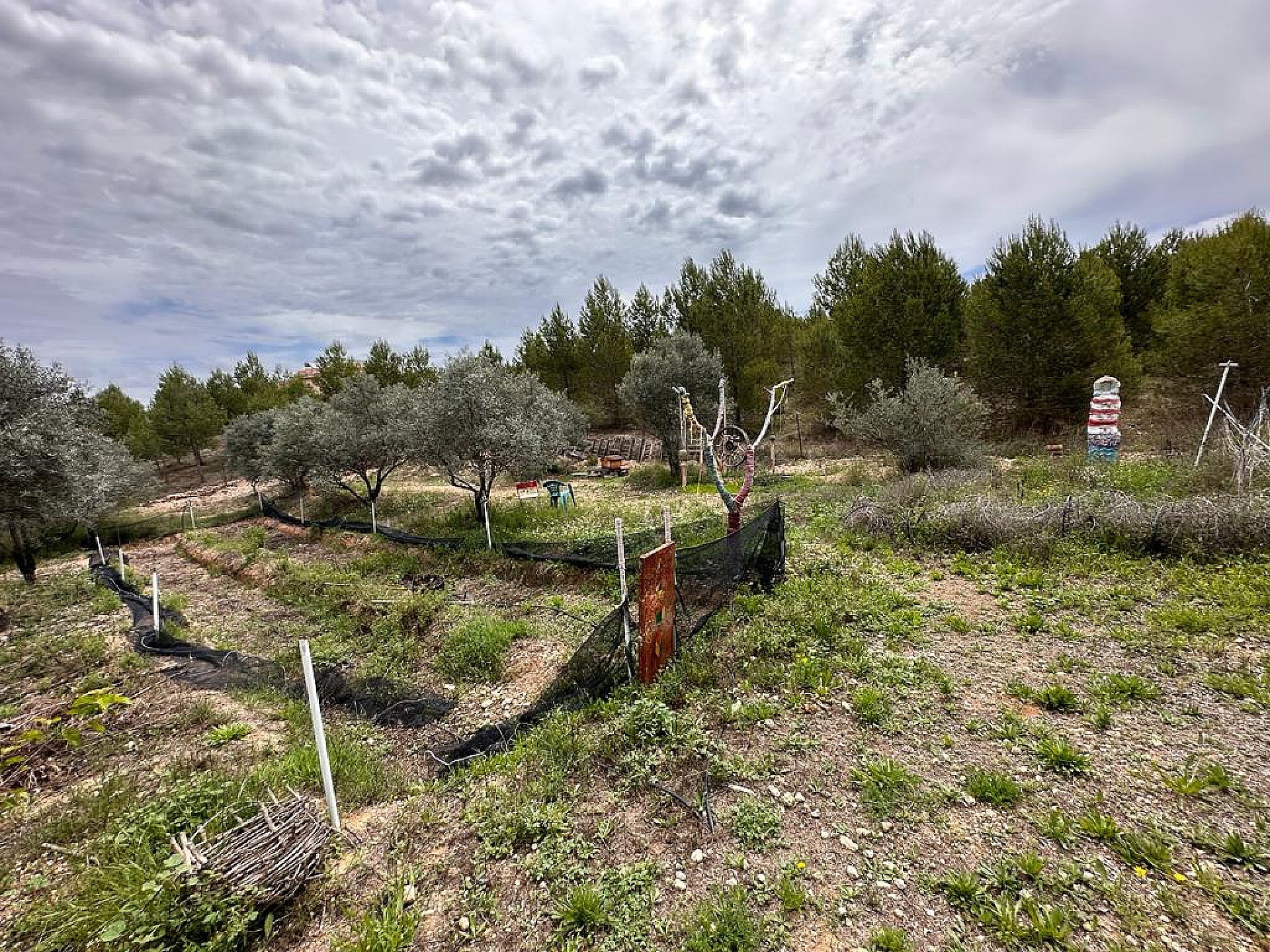 Resale - 5 Bedroom 2 Bathroom Villa in Sax - - Alicante Resale - 5 Bedroom 2 Bathroom Villa in Sax - - Alicante