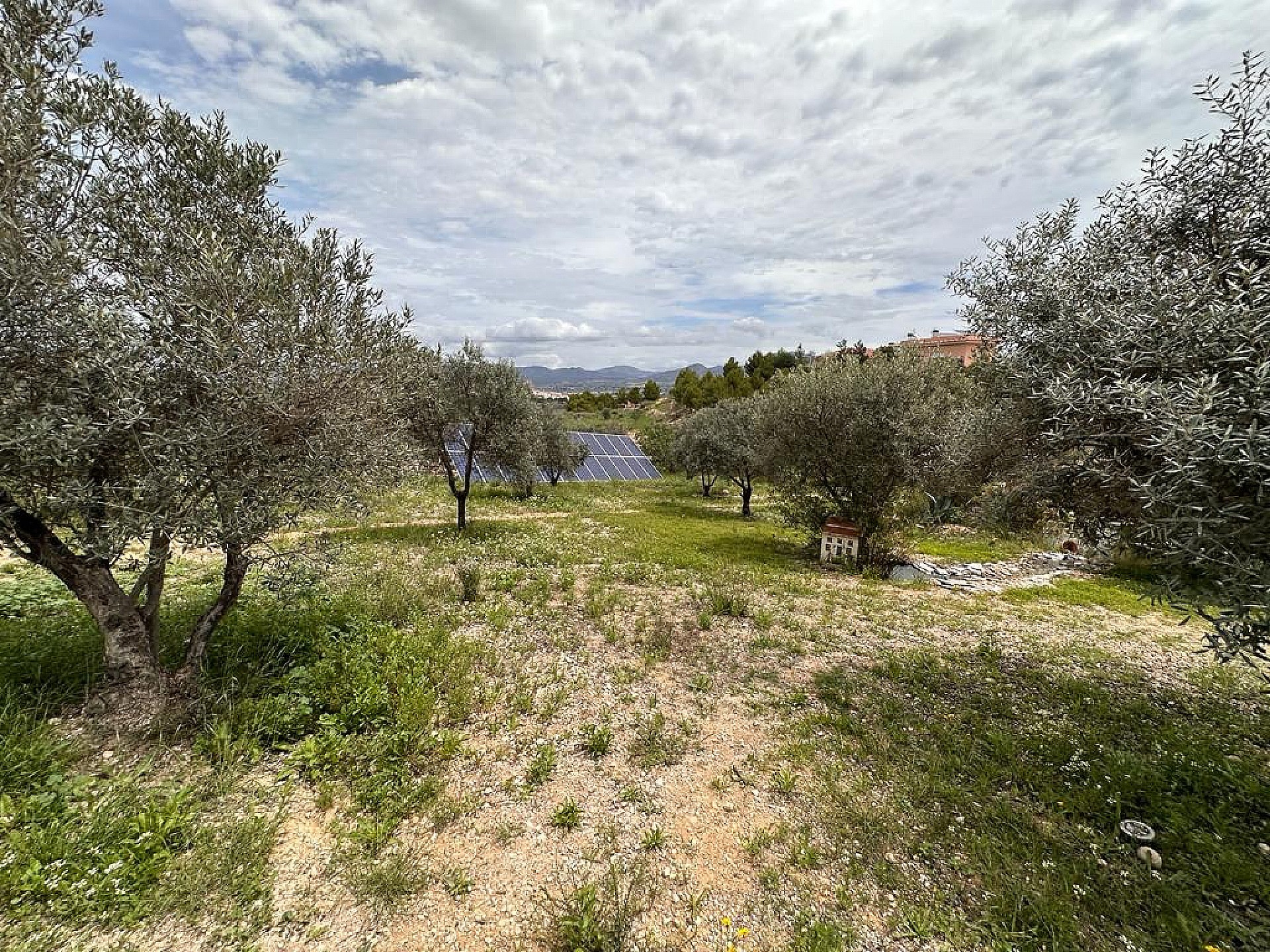 Resale - 5 Bedroom 2 Bathroom Villa in Sax - - Alicante Resale - 5 Bedroom 2 Bathroom Villa in Sax - - Alicante