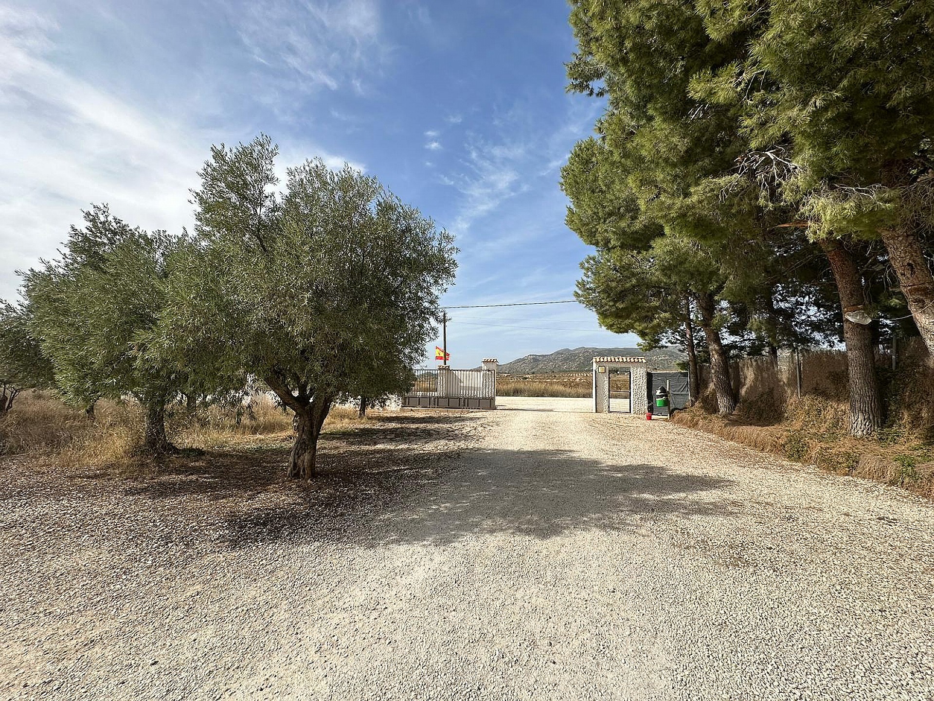 Resale - 3 Bedroom 1 Bathroom Commercial in Pinoso -  - Alicante