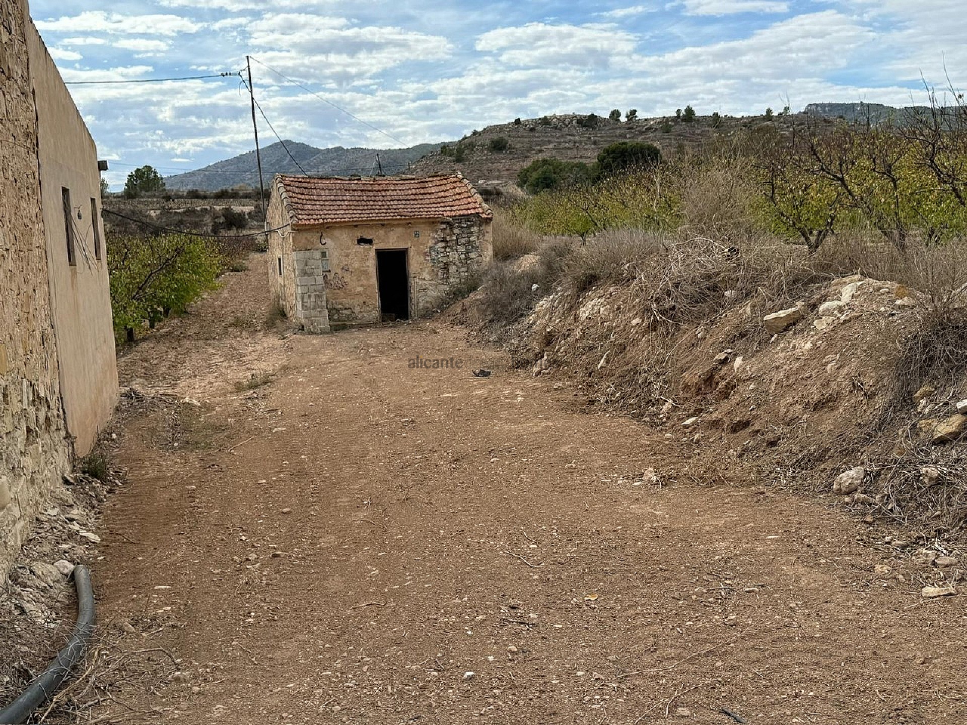 Resale - Land in Monóvar -  - Alicante