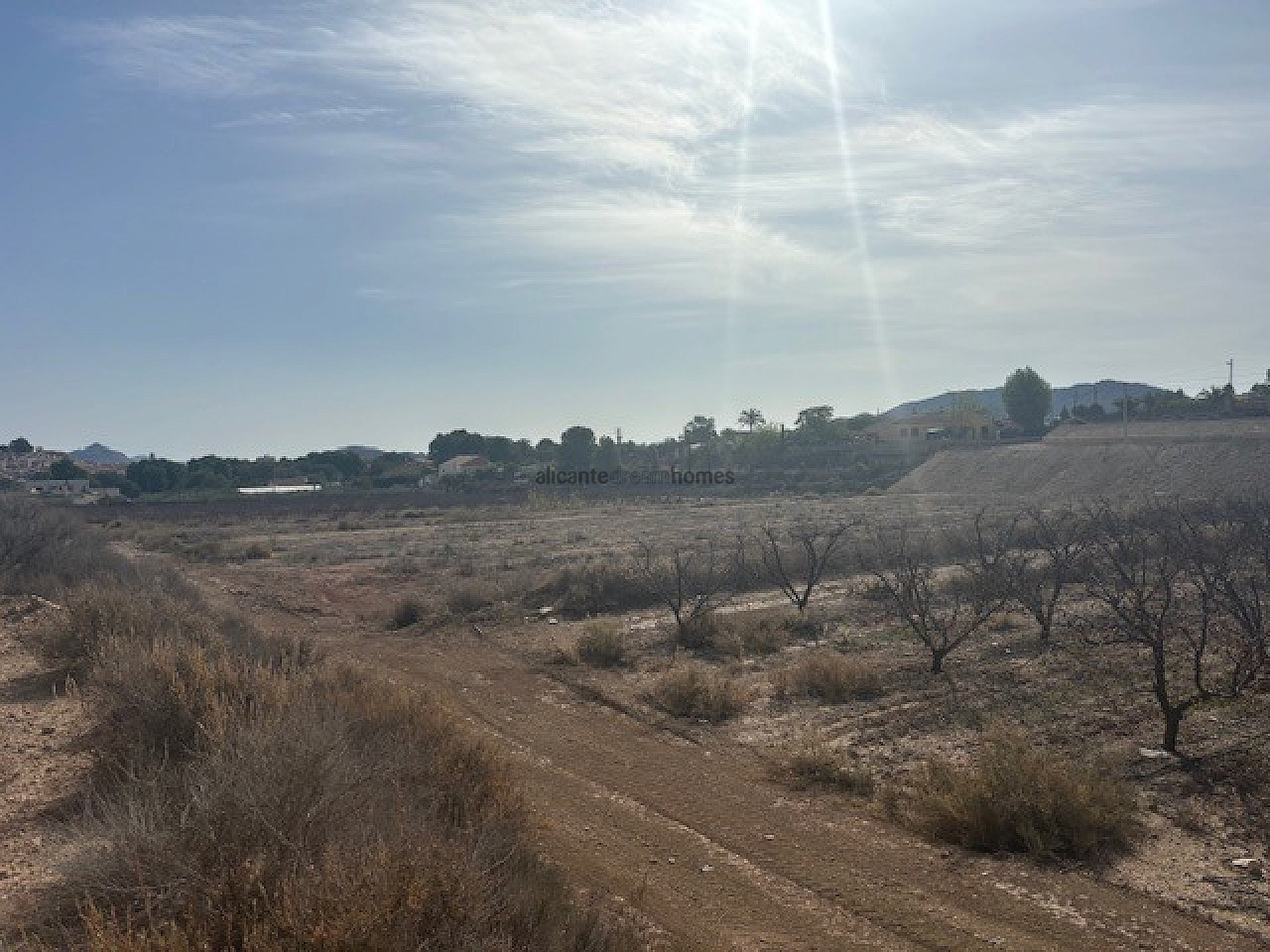 Resale - Land in Monóvar -  - Alicante