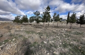 Land in Salinas