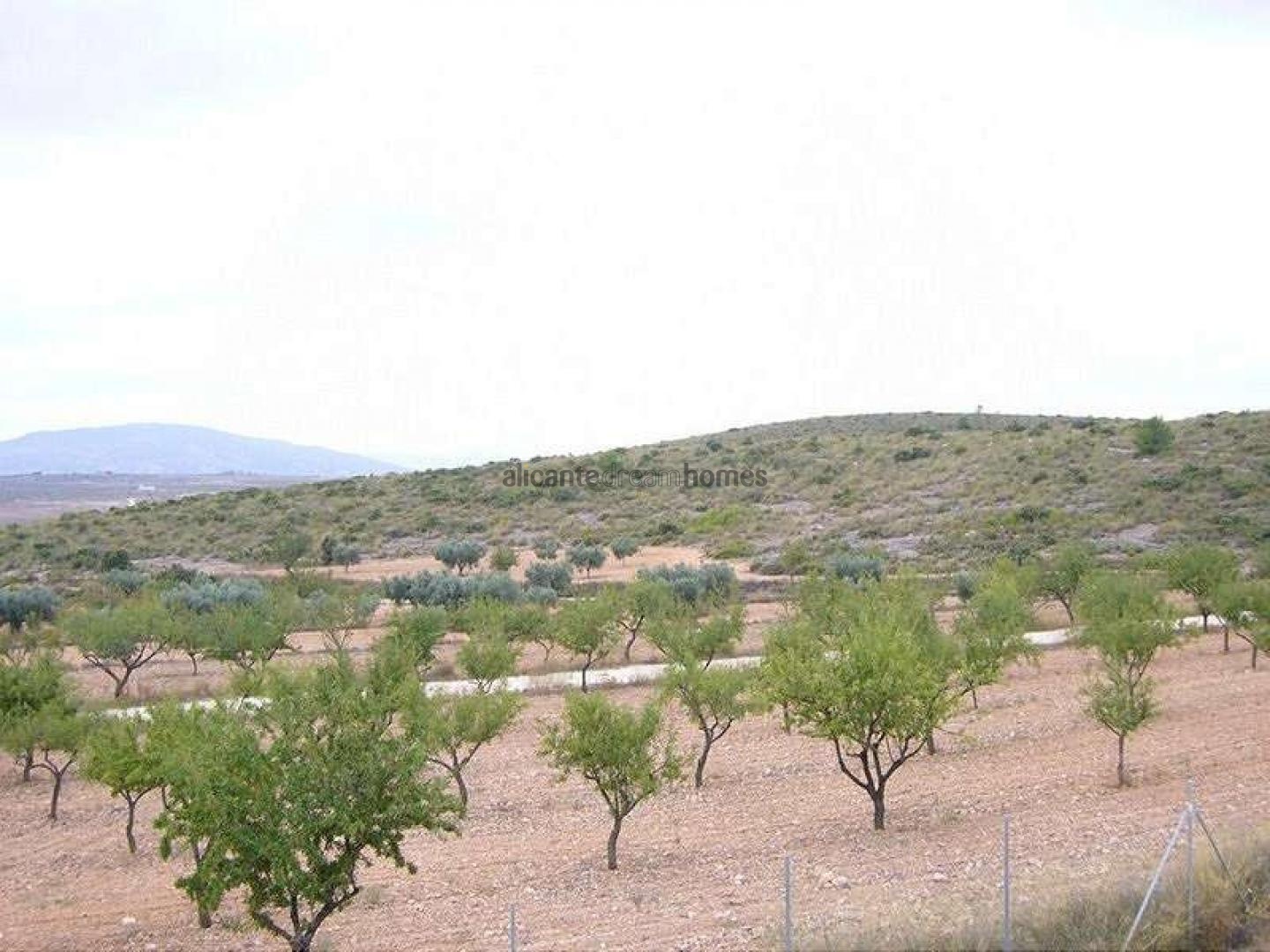 Resale - 4 Bedroom 3 Bathroom Villa in Pinoso -  - Alicante