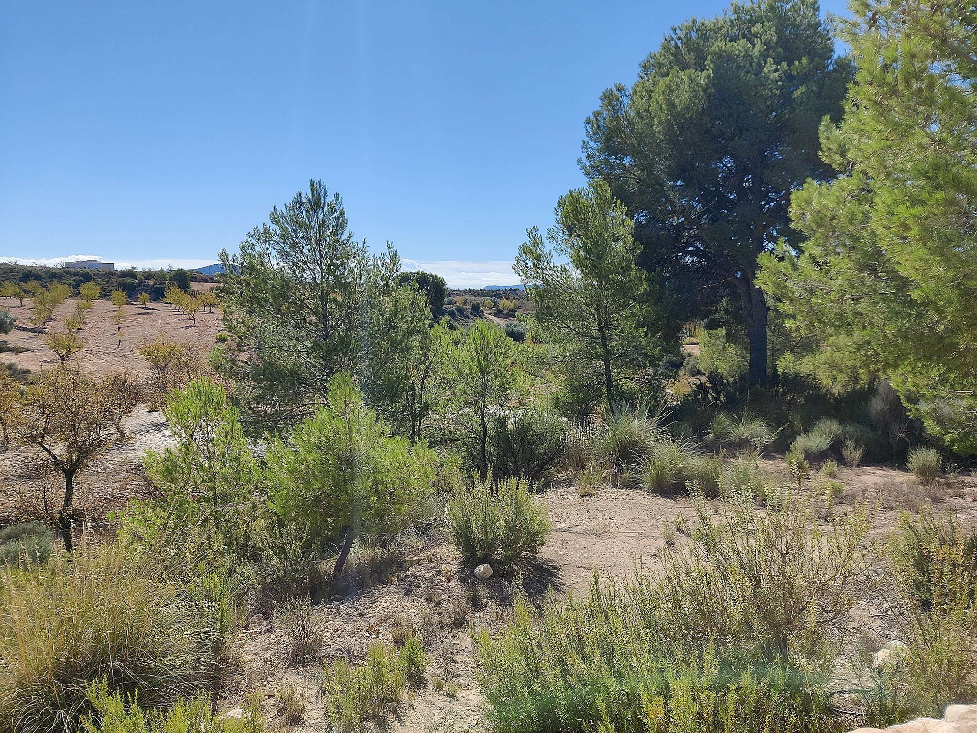 Resale - 2 Bedroom 1 Bathroom Country house in Monovar -  - Alicante