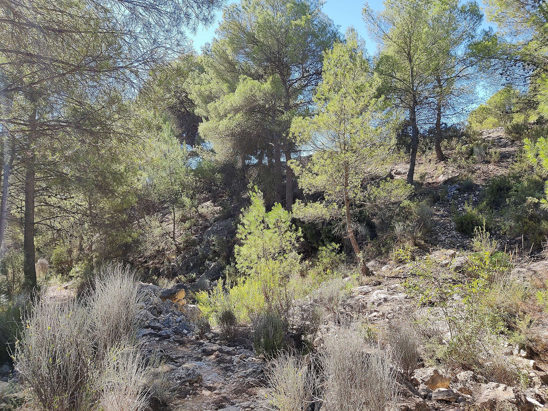 Resale - 2 Bedroom 1 Bathroom Country house in Monovar -  - Alicante