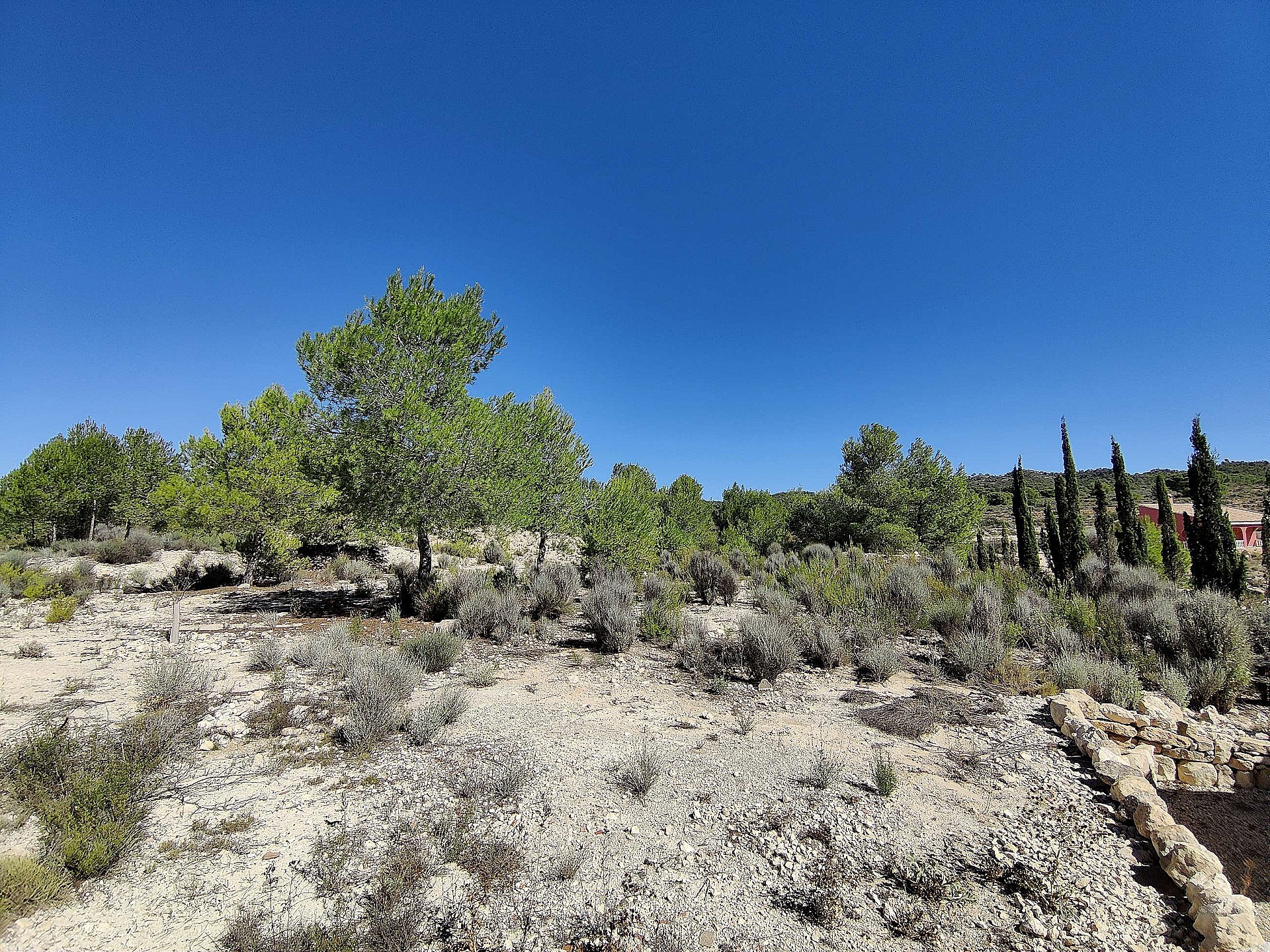 Resale - 2 Bedroom 1 Bathroom Country house in Monovar -  - Alicante