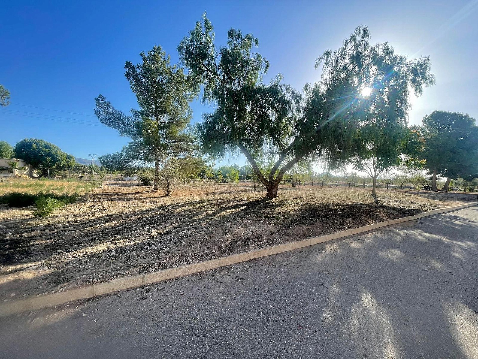 Resale - Land in Ubeda -  - Alicante