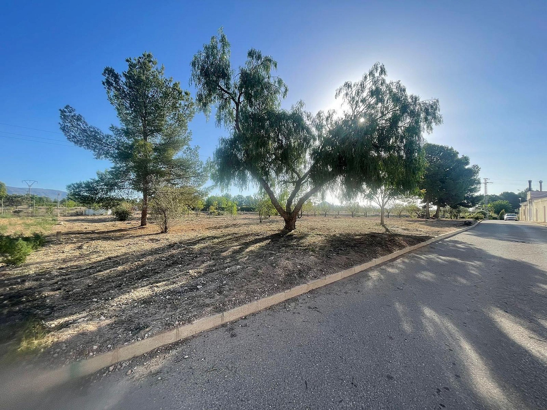 Resale - Land in Ubeda -  - Alicante