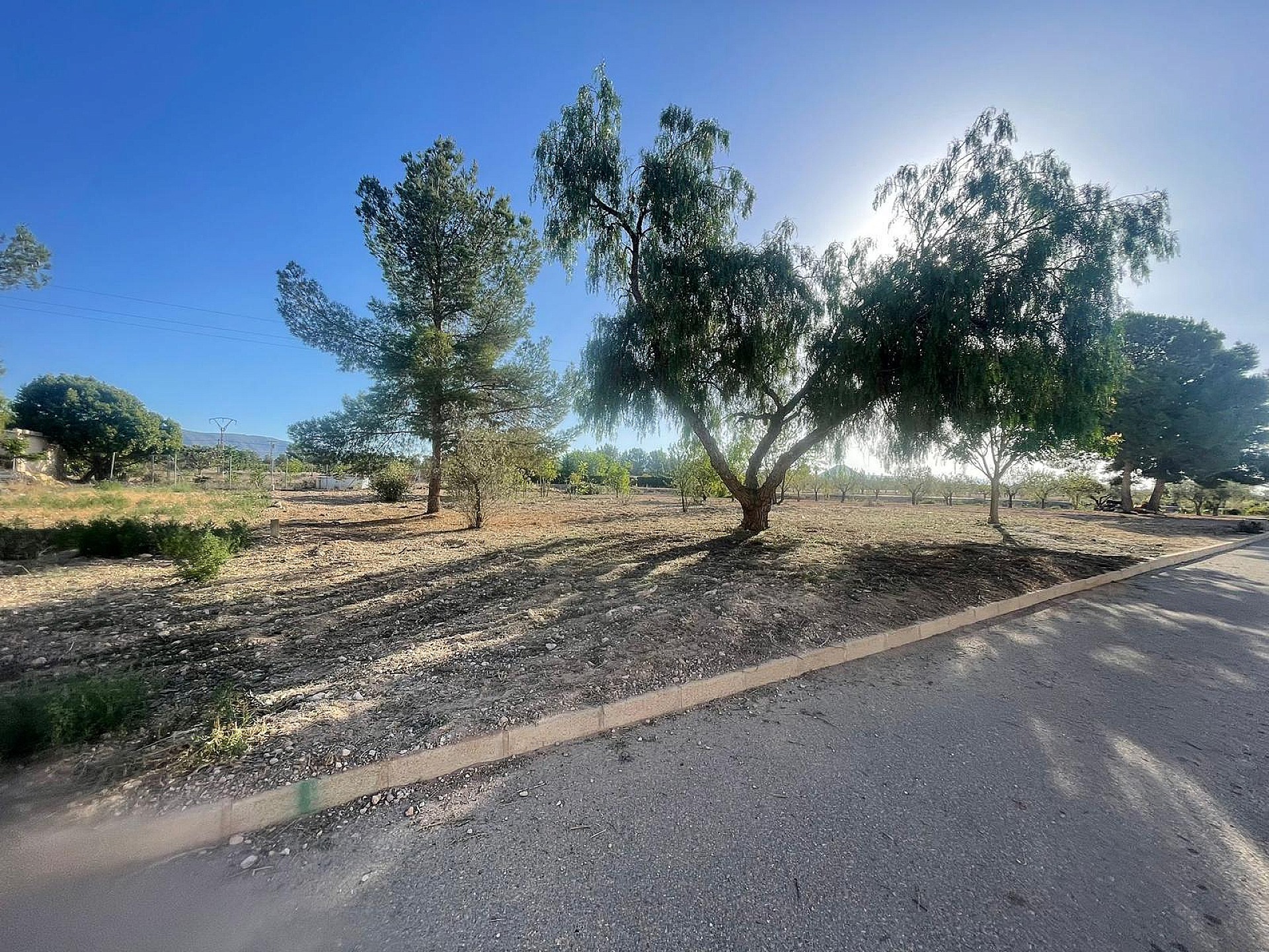 Resale - Land in Ubeda -  - Alicante