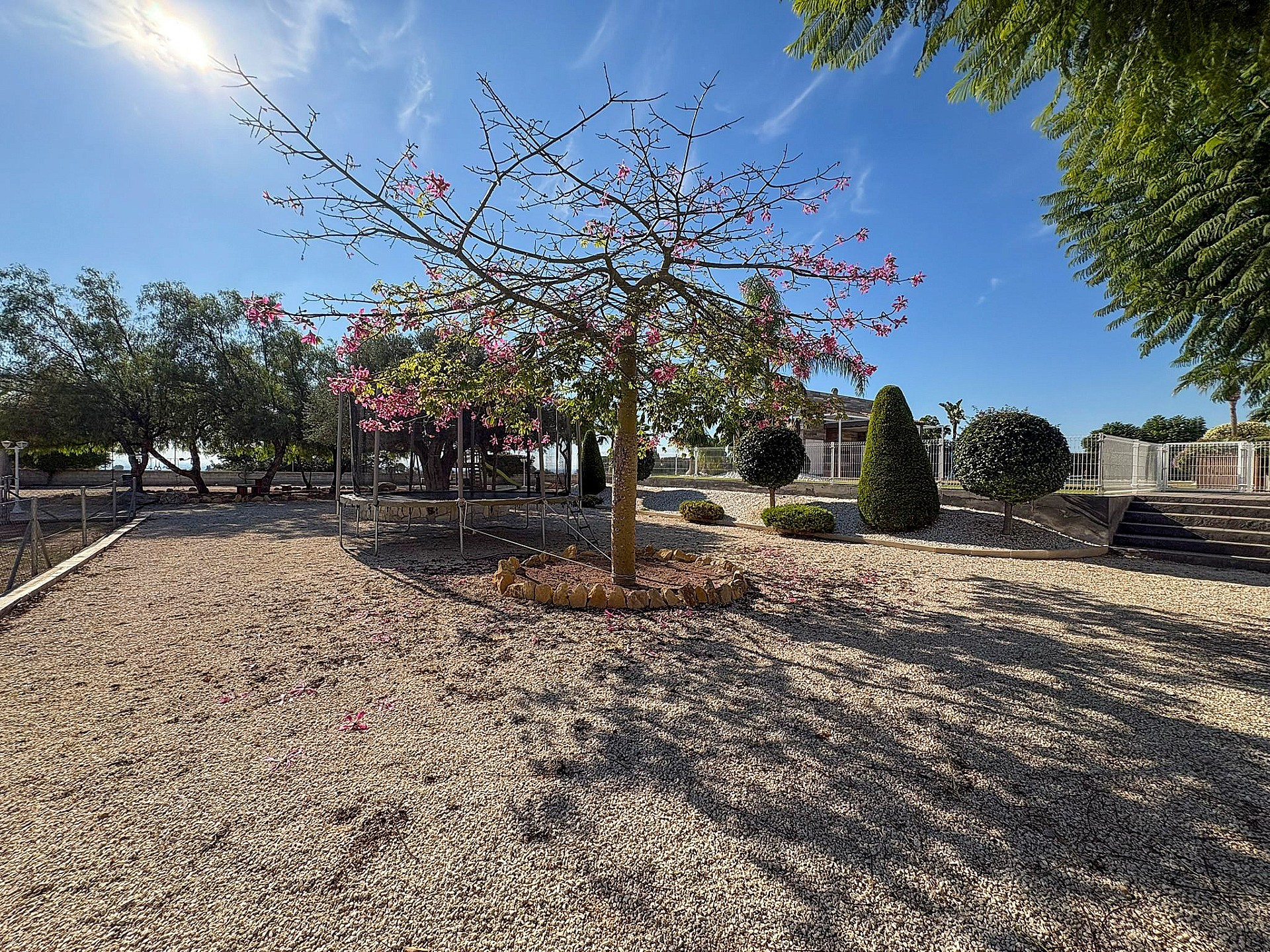 Resale - 8 Bedroom 7 Bathroom Villa in Crevillente -  - Alicante