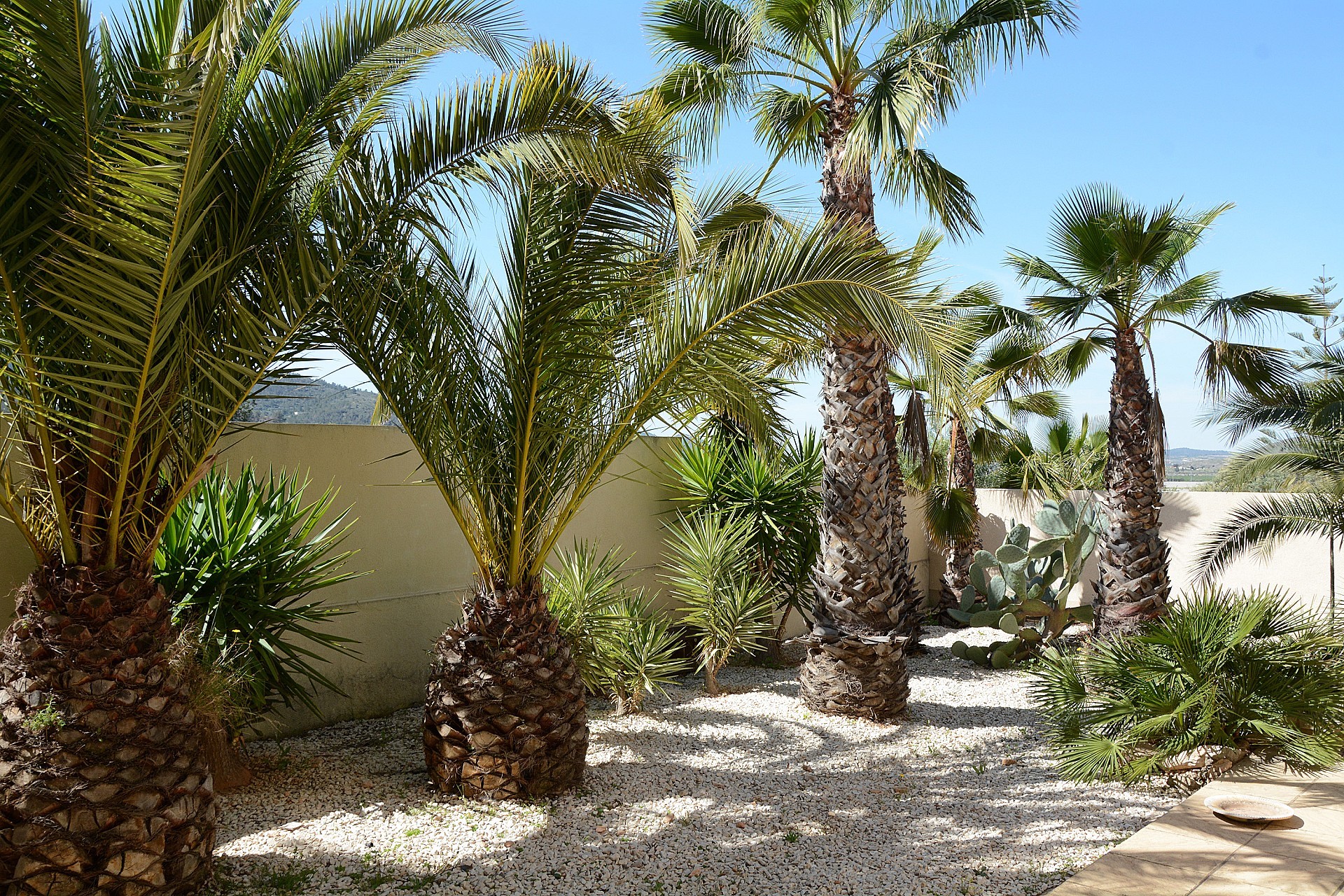 Sold - 3 Bedroom 3 Bathroom Villa in Hondon de las Nieves -  - Alicante