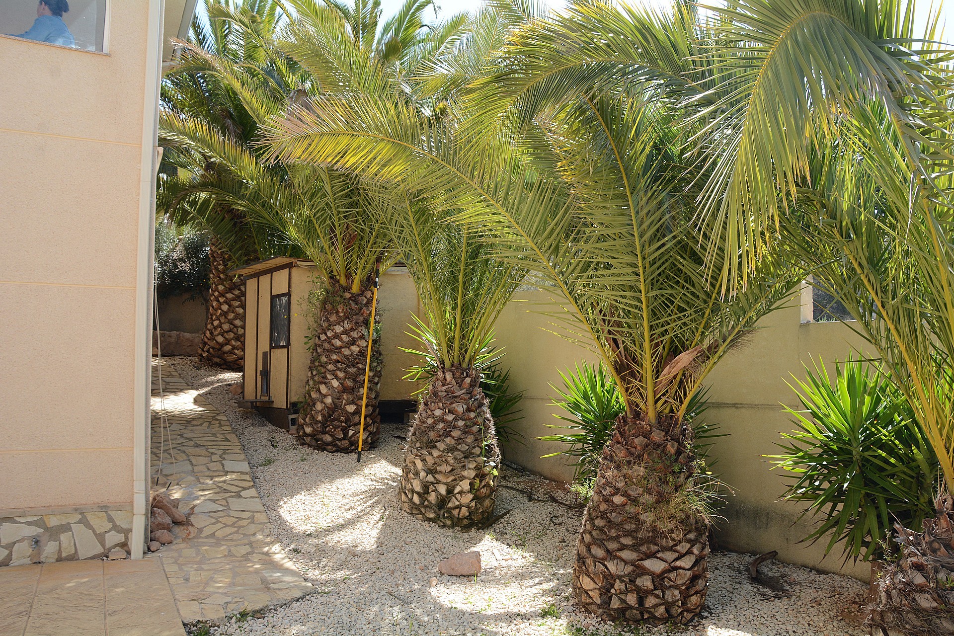 Sold - 3 Bedroom 3 Bathroom Villa in Hondon de las Nieves -  - Alicante